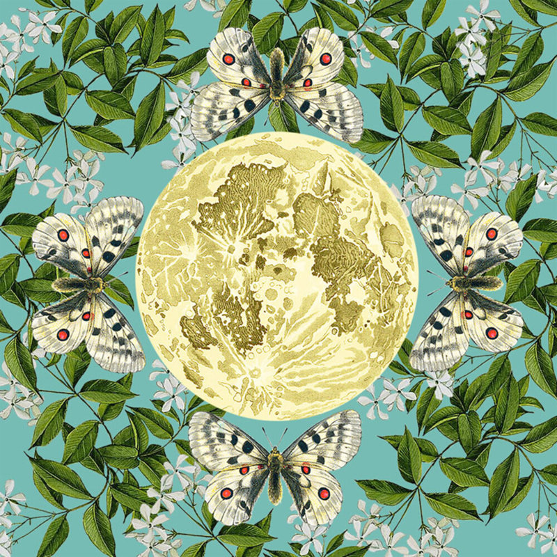 Astrology & Stars Print by Thicket Design, 24" H x 24" W