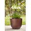 Plant Pot-72816955-72816962