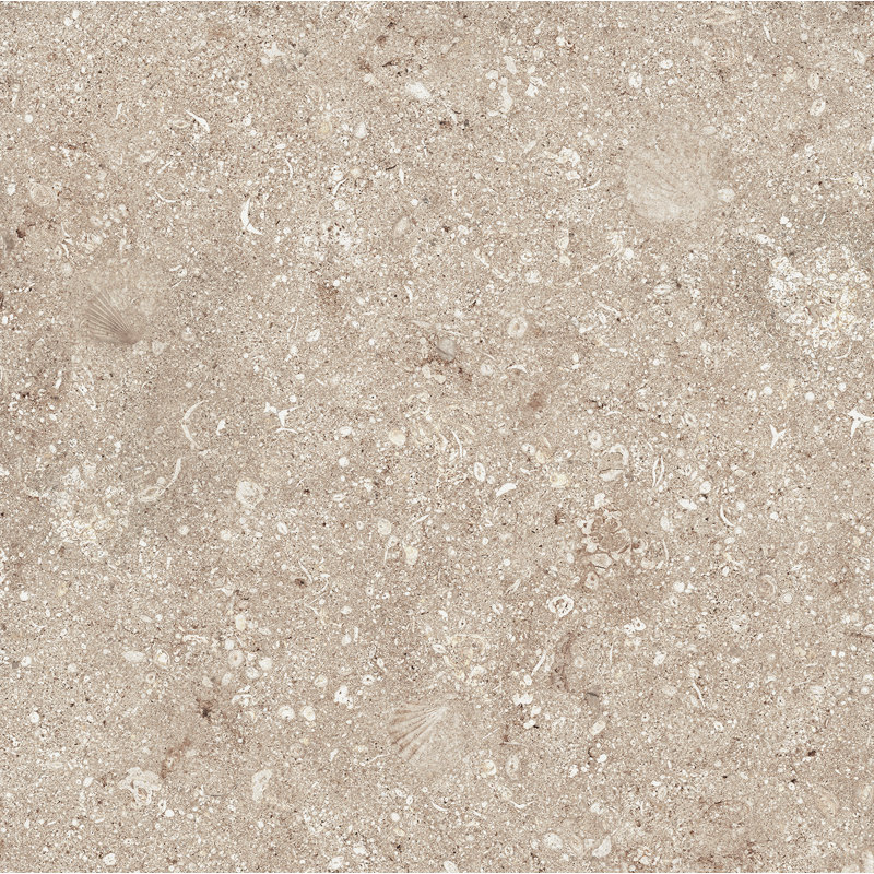 Tuile de champ en porcelaine 24 po x 24 po Ocean Paver, Beige