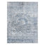 Riviera Oriental Area Rug