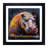 Hippo Colour Field - Single Picture Frame Print on Wood-1600277836