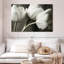 Harnek rangée de tulipes BW-107889613