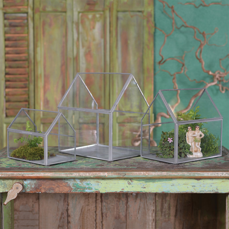 Terrarium en verre Jura, H 8,75 po x l 8,75 x P 8,75