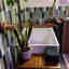 Customer photo 2 of 2