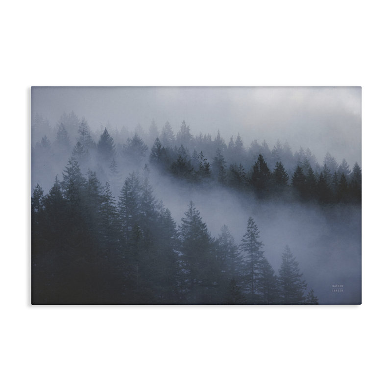  Art mural sur toile «Fog Fillers Trees Landscape» par Nathan Larson, H 30 po x l 45 po