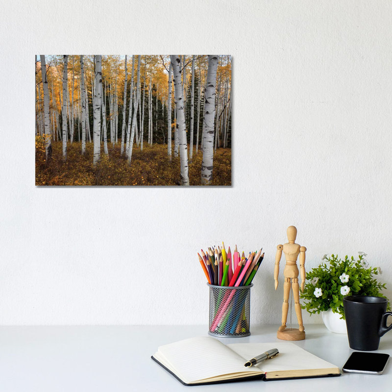 Aspen Forest In Autumn by Bill Sherrell - Wrapped Canvas Print, 20.32 cm H x 30.48 cm W