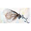 Butterfly On Blue Flowers Print On Canvas-98693932