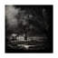 «Under The Willow Tree» par Sasun, reproduction de photo sur toile tendue-29764430