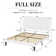 Dunphy Upholstered Platform Bed with Adjustable Headboard