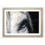 Eye of a White Horse in Abstract - Picture Frame Graphic Art Print-55725953-55725956