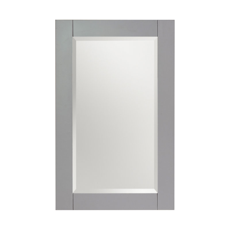 Bernharda l 22 po x H 32 po Miroir de salle de bain rectangulaire à montage en surface moderne et contemporain gris Empire
