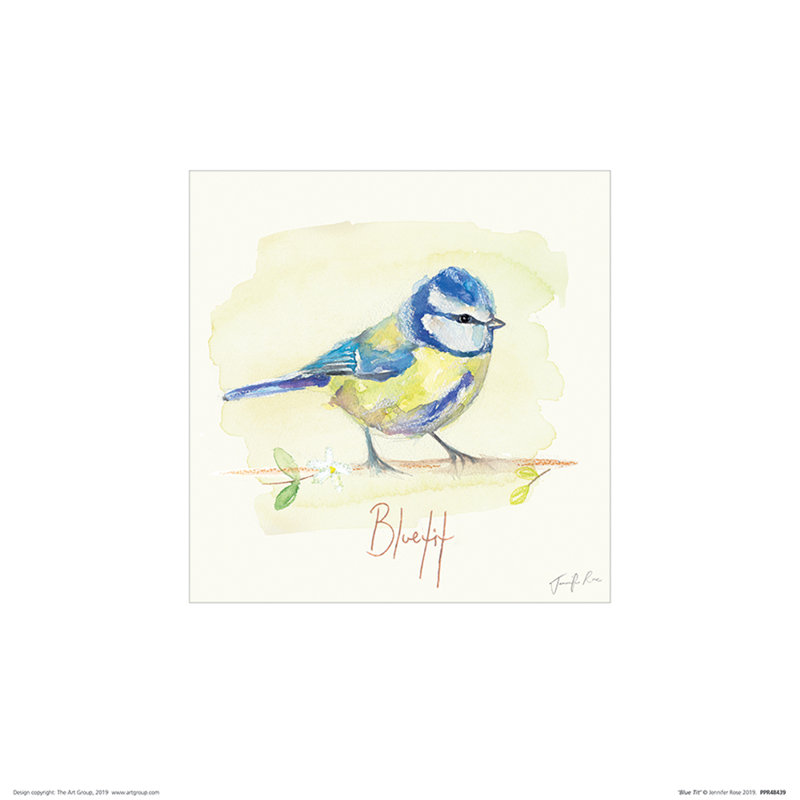 Blue Tit by Jennifer Rose - No Frame Painting