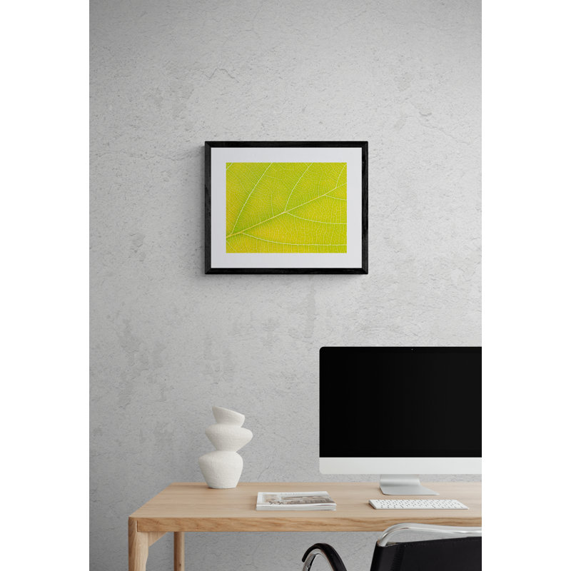 Autumn Leaf by Philippe Monthoux, Black Framed Paper, 16" H x 20" W