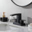 Centerset Bathroom Faucet with Drain Assembly