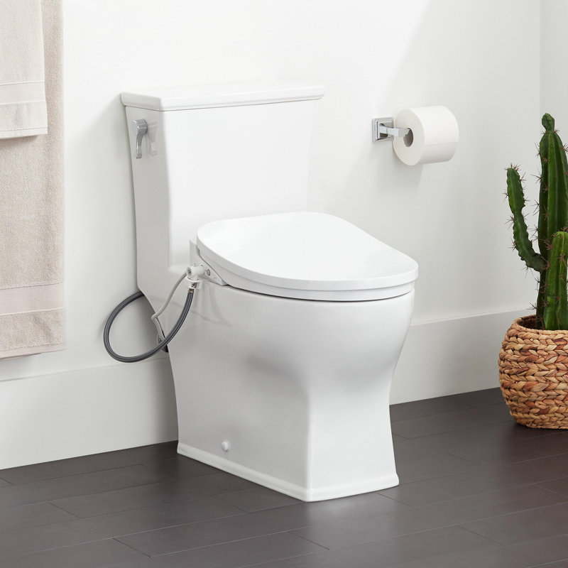 Carraway 1.28 GPF One Piece Elongated Chair Height Toilet