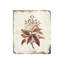 Botanique I Print by Zoey Riley-26940140-26940138