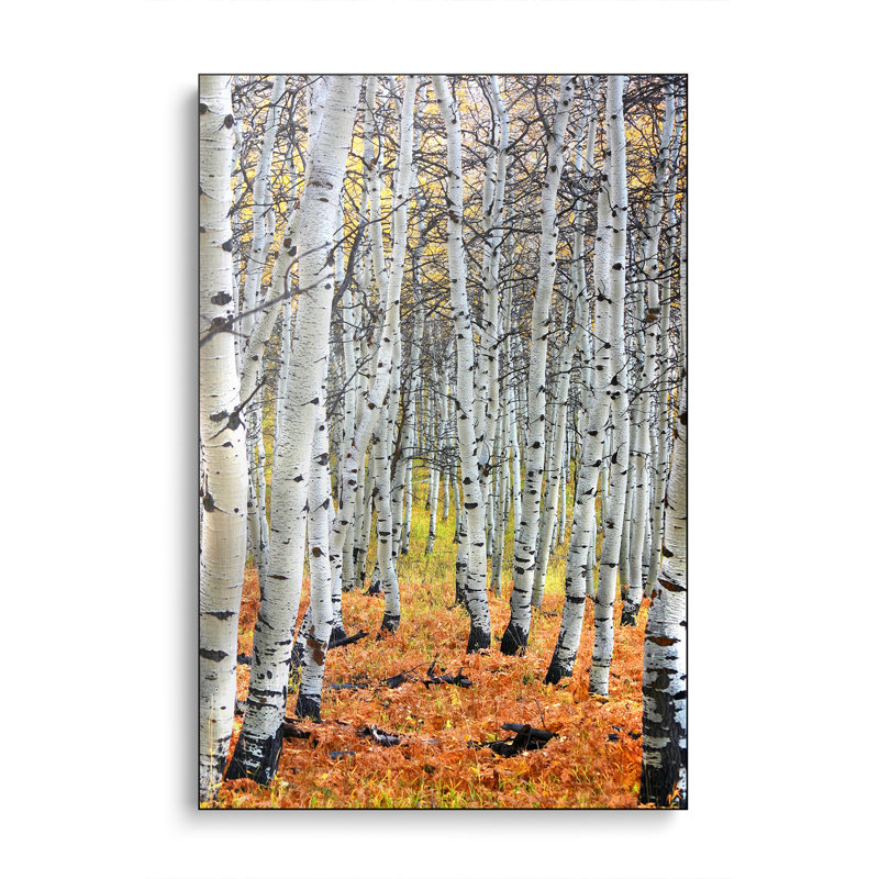 Reproduction d'art sur toile en métal, "Steppeix" par Autumn Artist