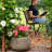 Kevelle Round Green Lava Finish Ceramic Outdoor Planter Pot-2065380145-2065380146