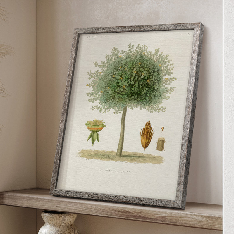 Antique Tree with Fruit X Framed Print - Solid Wood, 11" H x 9" W