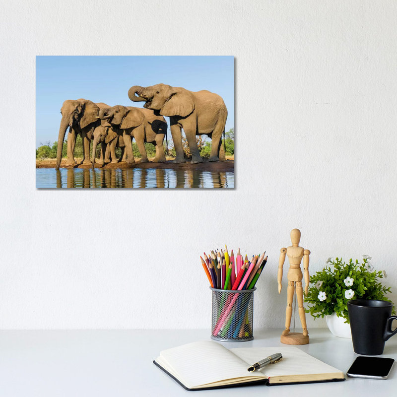 View Of Elephant Family At Water Hole, Botswana, Africa - Wrapped Canvas Print, 20.32 cm H x 30.48 cm W