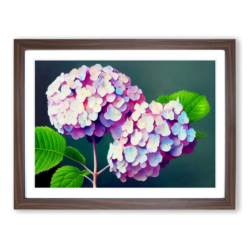 Glowing Hydrangea Flowers - Single Picture Frame Print