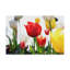 «Red White and Yellow», impression sur toile tendue-31329993