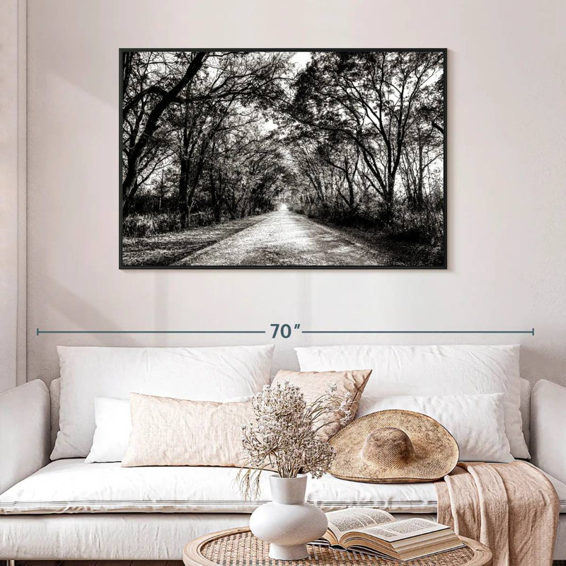 BW Forest Path, 46" X 31", Floating Frame Black
