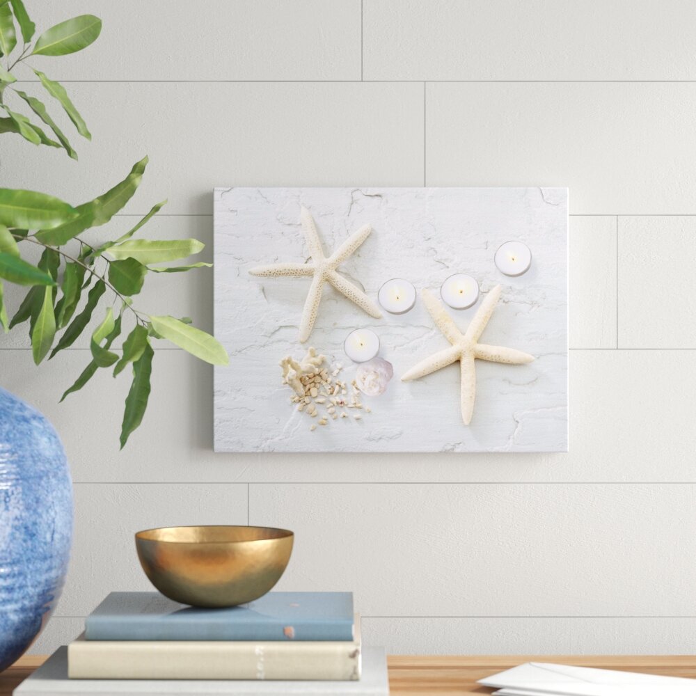 Northlight LED Lighted Starfish Seashell and Tea Light Candles Canvas Wall  Art 15.75 & Reviews