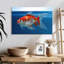 Aquarium Brampt Shubunkin poisson rouge-107830006
