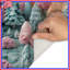 Tapis de bain Pastel Forest Landscape-1666688853