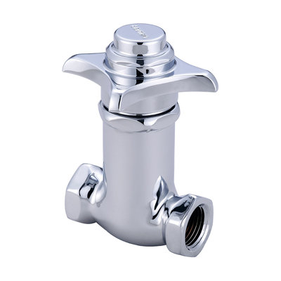Manual Flush Valve