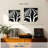 Brampt Zebra Stripes Pattern VI-109393092