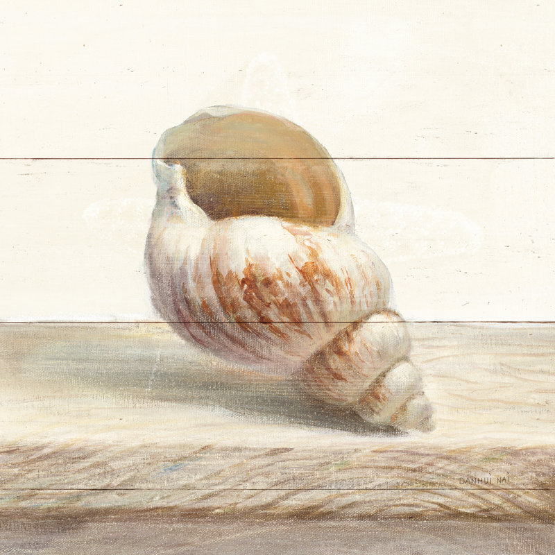 Driftwood Shell I by Danhui Nai - Wrapped Canvas Painting, 91cm H x 91cm W x 3.8cm D