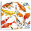 Brampt couleurs de koi-109216740