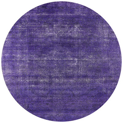 Oriental Indoor Rug