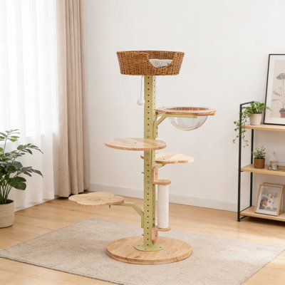 Structure d'escalade simple et tendance
