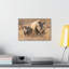 No Frame Print on Canvas-246817706