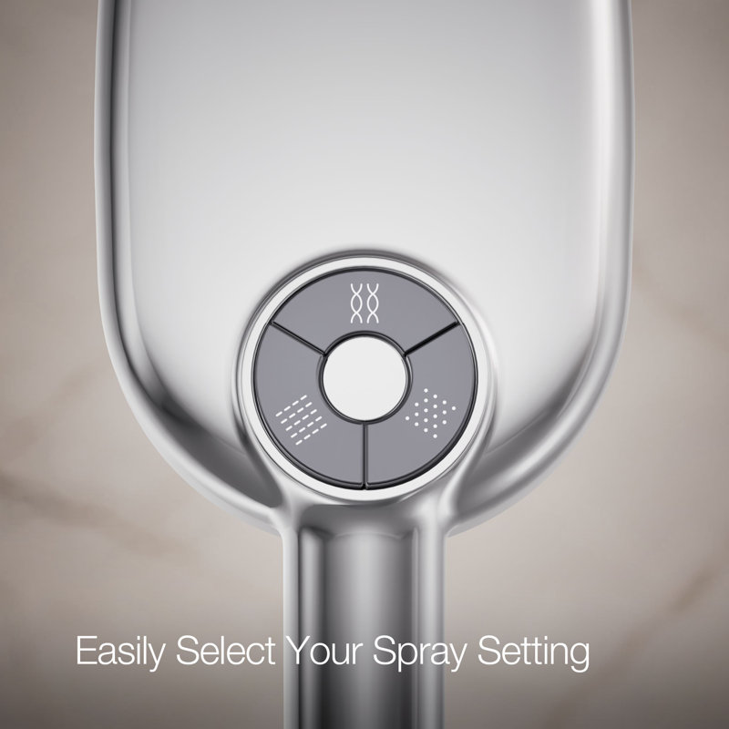 Statement 1.75 GPM Oval Multifunction Handshower With Katalyst Air-Induction Technology, Polished Chrome