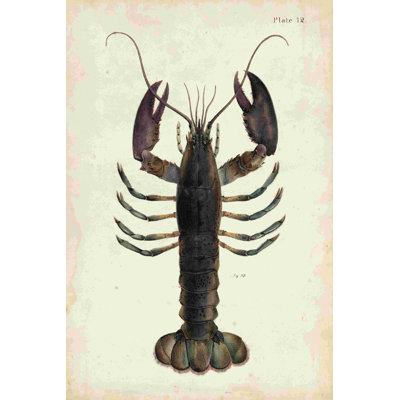 Homard rétro