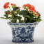 Handmade Planter