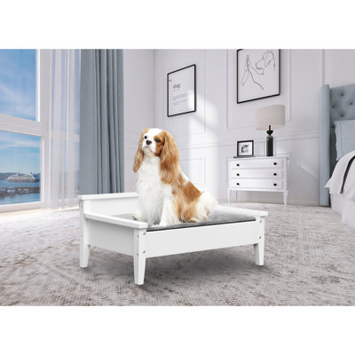  Pet Bed with Elevated Design