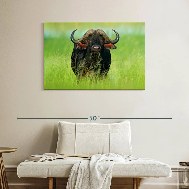 Manger du bison, H 26 po x l 39 po