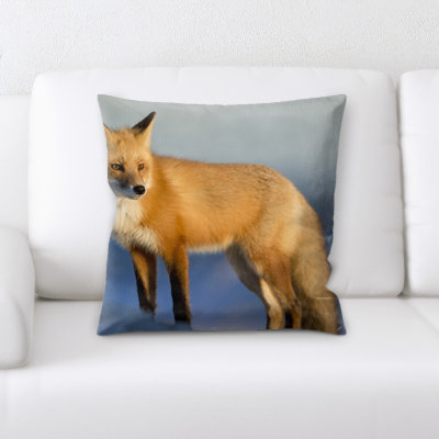 Housse de coussin carré et insert