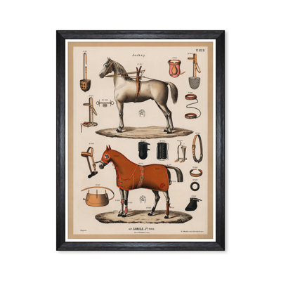 THE RIDING EQUIPMENT I