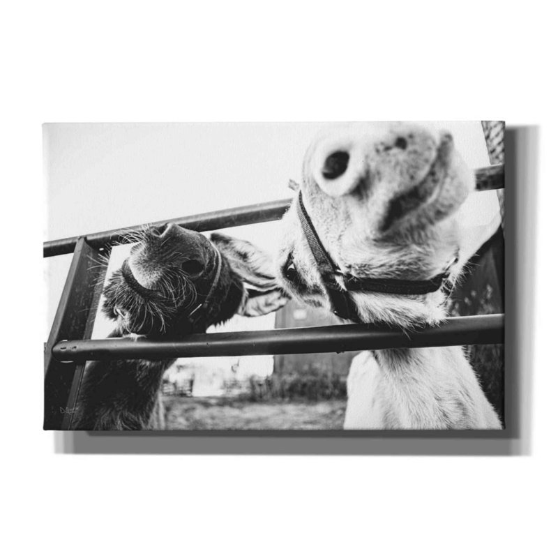 «Nourrir les ânes sur toile» par Donnie Quillen, H 12 po x l 18 po x P 0,75 po