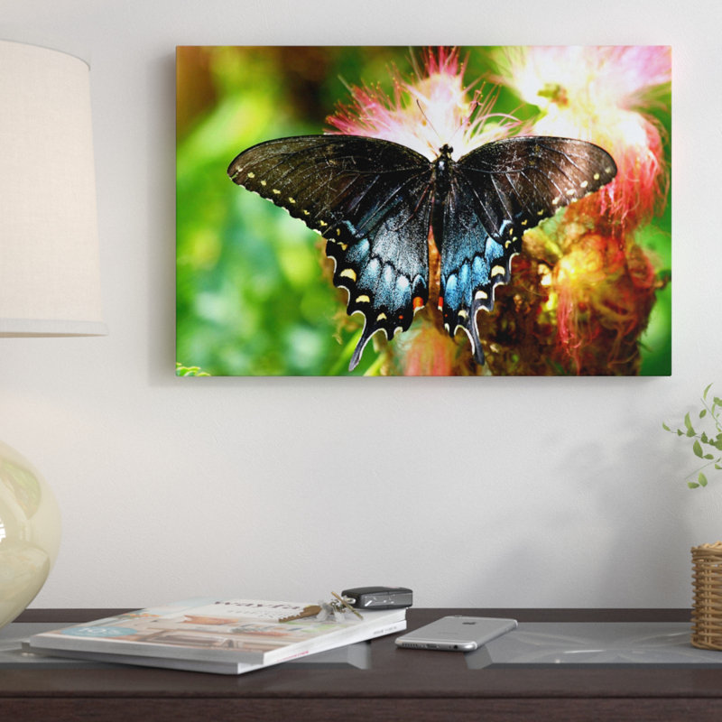 « machaon papillon », photographie sur toile, H 8 po x l 12 po x P 0,75 po, Toile tendue