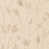 Beige sélectionné