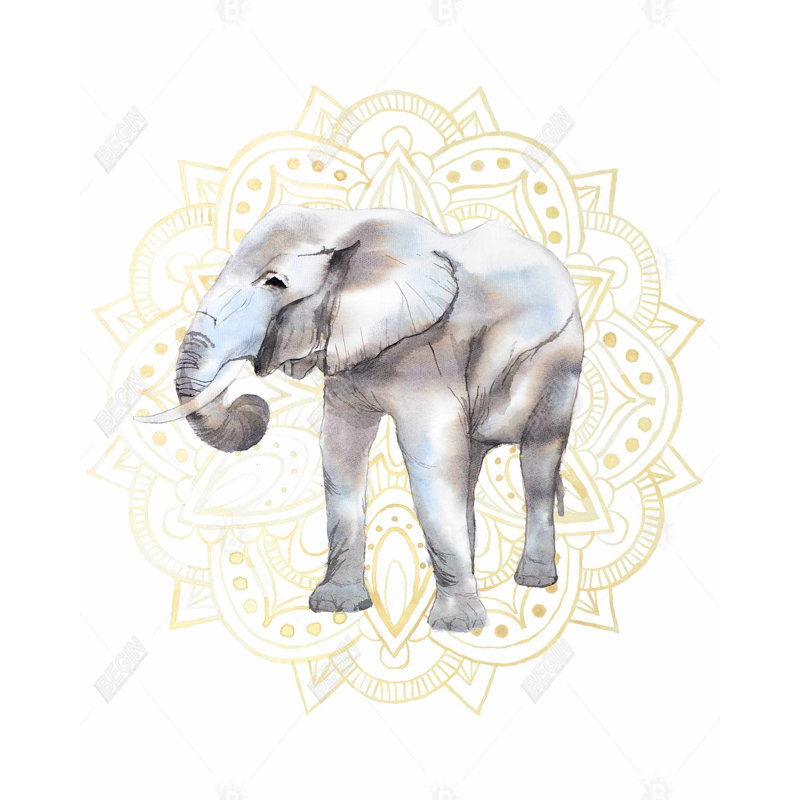 " Elephant On Mandalas Pattern "