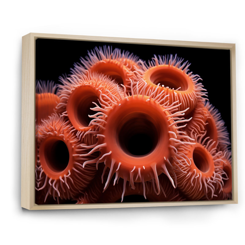 " Orange Giant Plumose Anemone ", Natural Floater Framed, 24" H x 32" W x 1" D