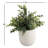 10'' Faux Eucalyptus Plant in Ceramic Planter